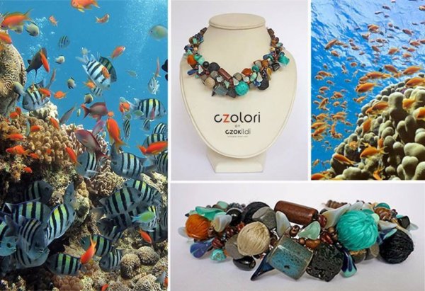 11059881_850961314980405_2443544426620866737_n