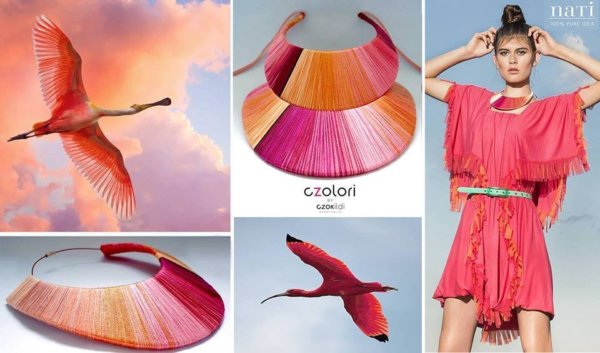 13686734_1052534114823123_3883037793797353488_n