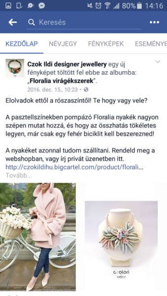 15969993_1823692354573264_59458216_n