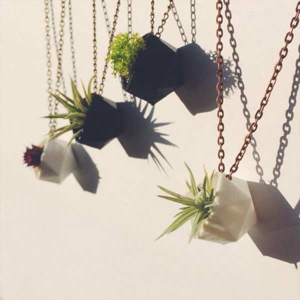 17140889_668106433371779_716099496_n