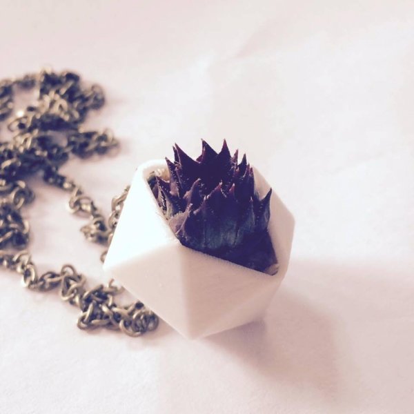 17141650_668106450038444_39528987_n