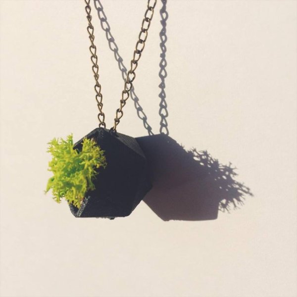 17141680_668106430038446_1464965541_n