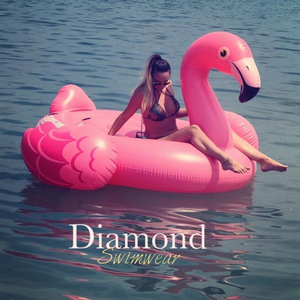 19275240_1726269264064655_3647584523012287122_n